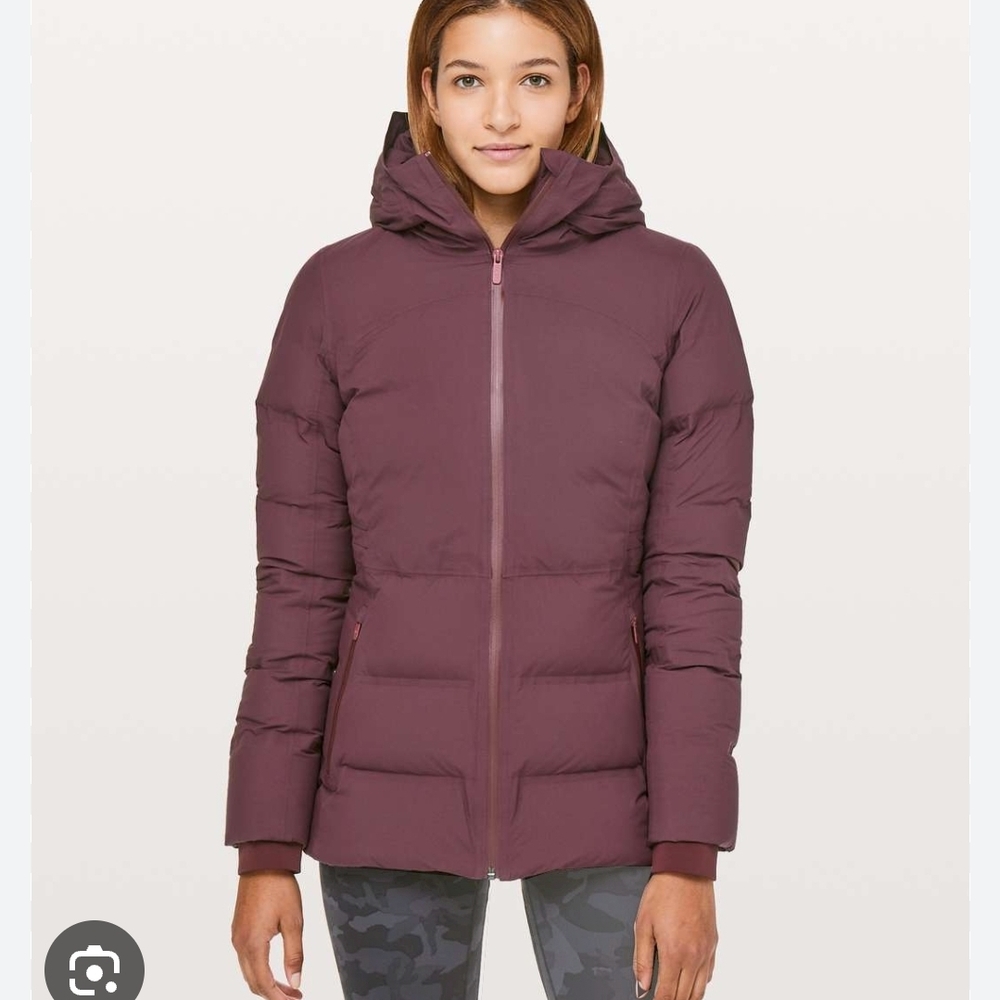 Sleet To Street Down Jacket-cassis